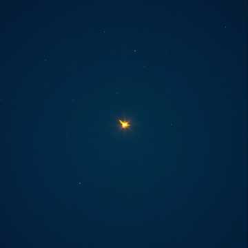 Une luciolle qui s'envolle